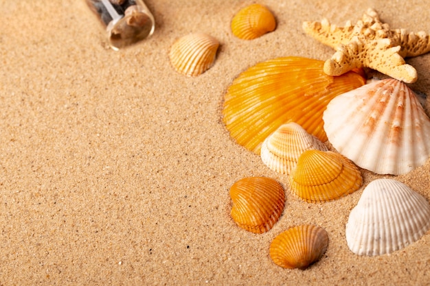 Various objects and shells from the beach on sand