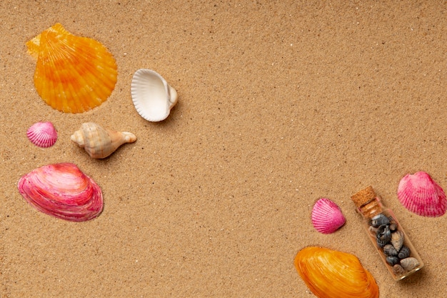 Various objects and shells from the beach on sand