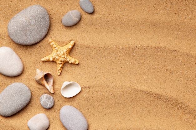 Various objects and shells from the beach on sand