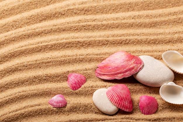 Various objects and shells from the beach on sand