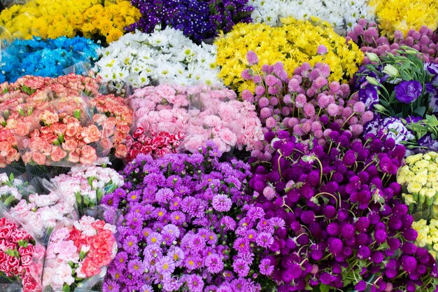 Various plants and flowers in a flower shop