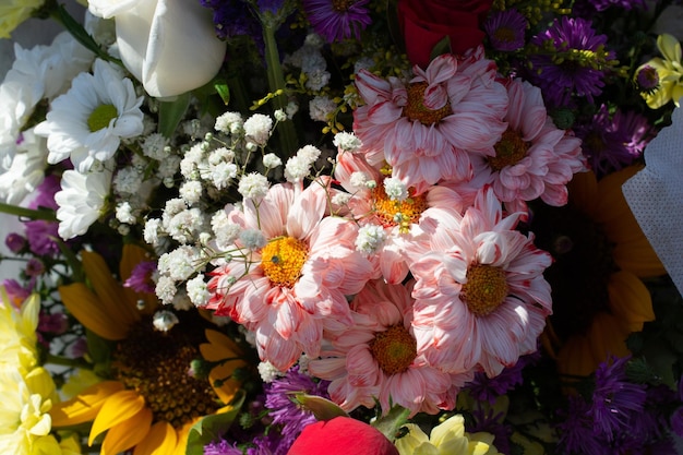 Various plants and flowers in a flower shop