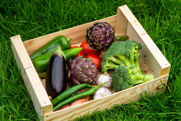 Various raw vegetables eggplant artichokes peppers tomatoes in a box on the grass The concept of healthy eating vegetarianism Preparing vegetables for grilling