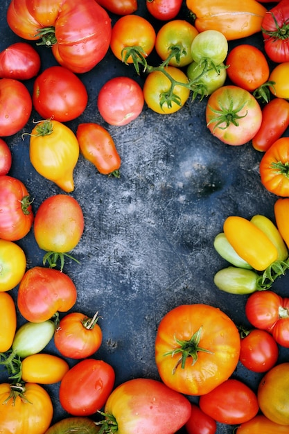 Various shapes and colors of tomatoes on a dark background