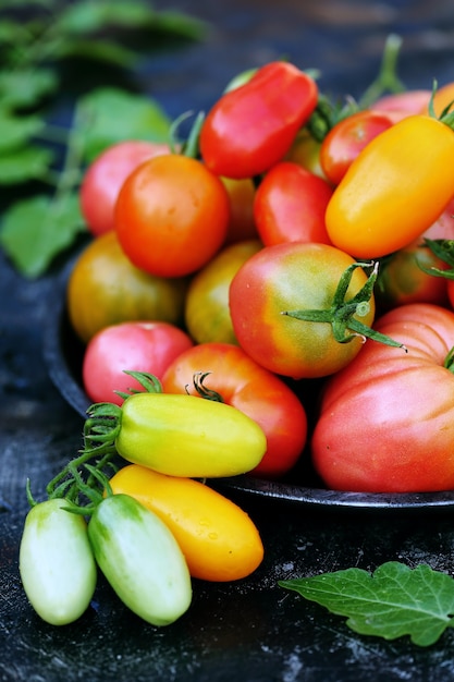 Various shapes and colors of tomatoes in metal plate on dark background