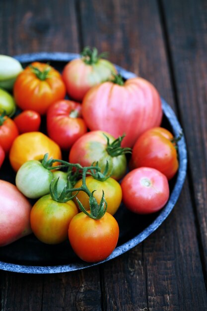 Various shapes and colors of tomatoes in metal plate