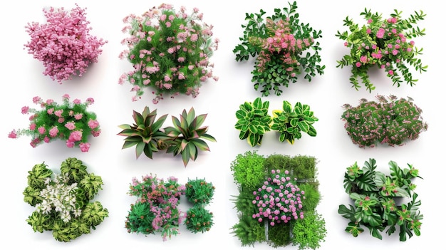 Various top view flowering and green plants generative ai