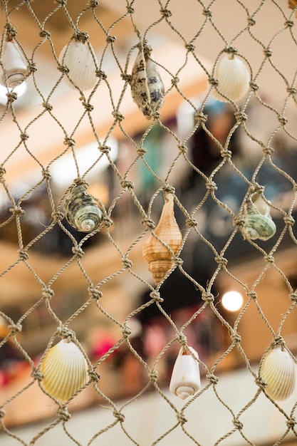 Various types of little seashells attached on a net