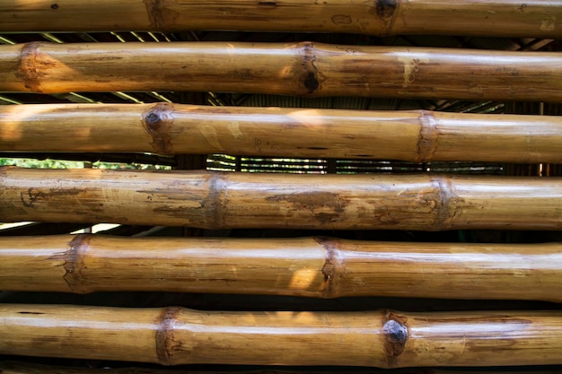 Varnish bamboo fence abstract background texture