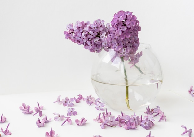 A vase of water with lilac flowers floating in it