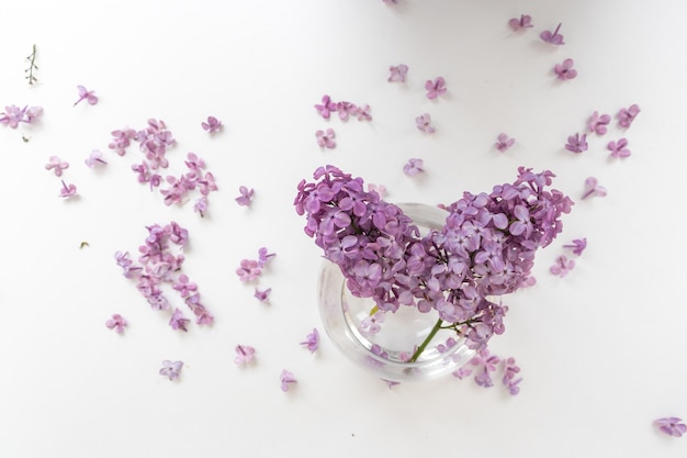 A vase of water with lilac flowers floating in it