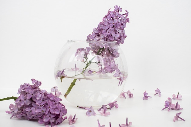 A vase of water with lilac flowers floating in it