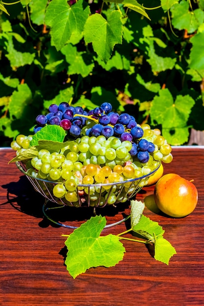 A vase with blue and green ripe grapes on a table in the garden Autumn fruit harvest