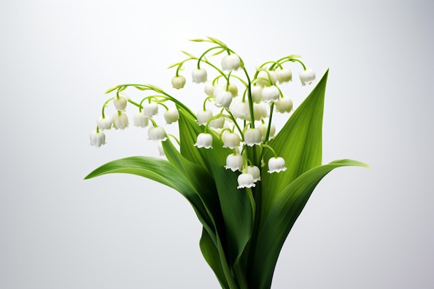 a vase with a bunch of white flowers in it