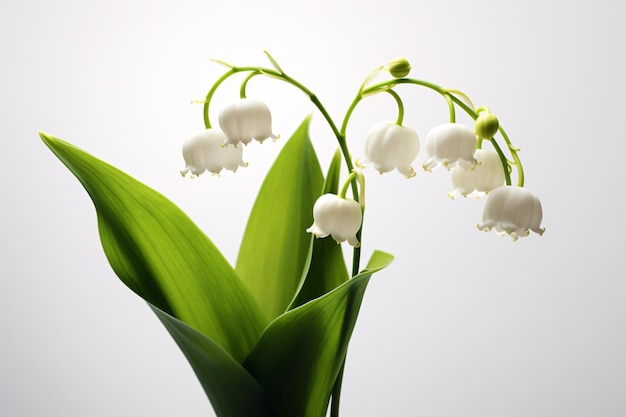 a vase with a bunch of white flowers in it