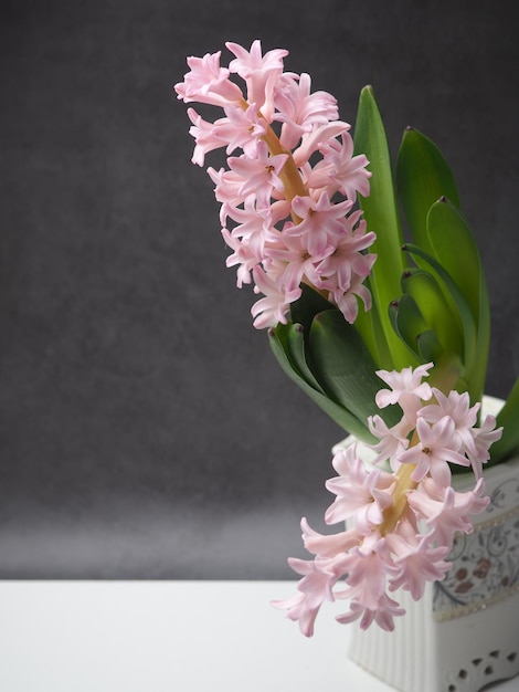 A vase with flowers that are pink and white