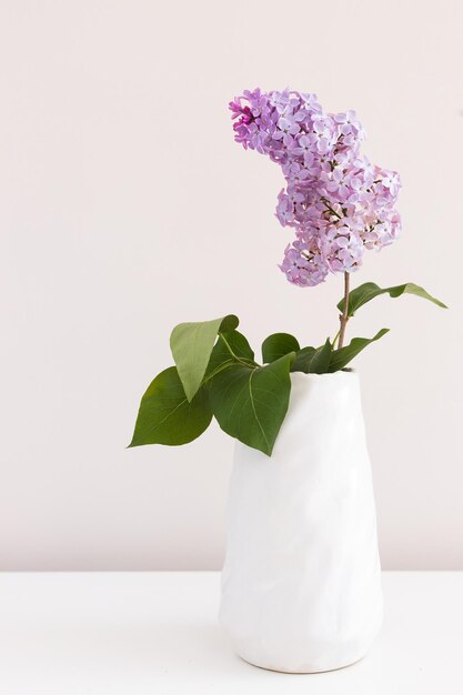 vase with fresh lilac flowers on the white table