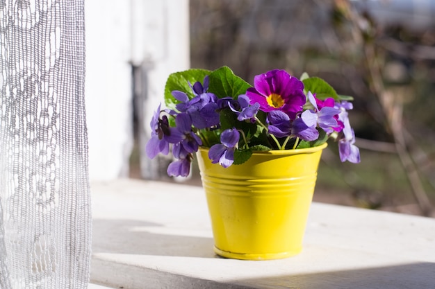 Vase with violets on windowsill