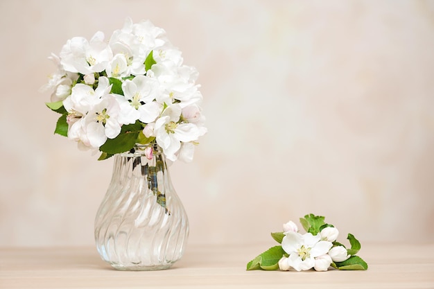 Vase with white flowers of an apple tree on a table against a wall copy space