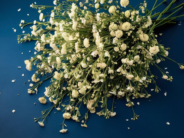 a vase with white flowers in it and a blue background