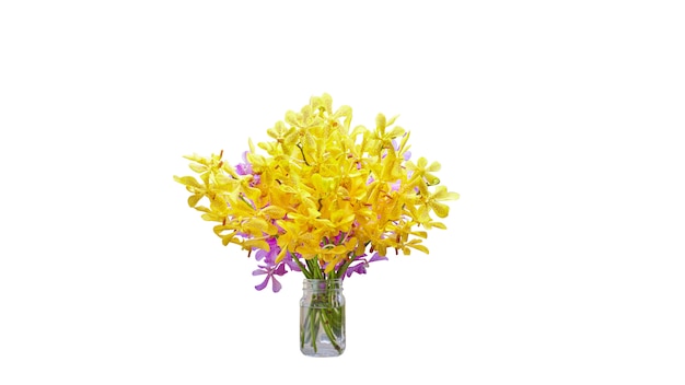 Vase of yellow and purple orchid flower isolated on white background with clipping mask