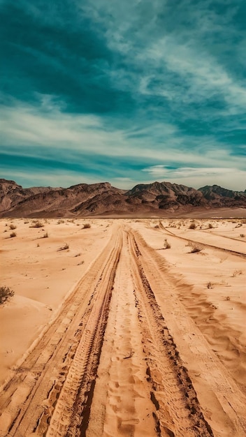 Vast desert floor with tire tracks leading into the distant mountains