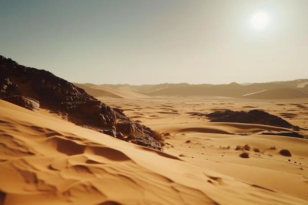 The Vast Expanse of a Desert Landscape