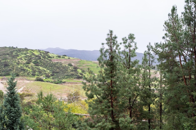 Vast green landscape trees mountains cloudy raining