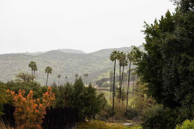 Vast green landscape trees mountains cloudy raining