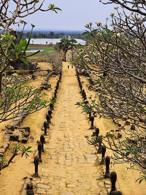 Vat Phou temple in Laos