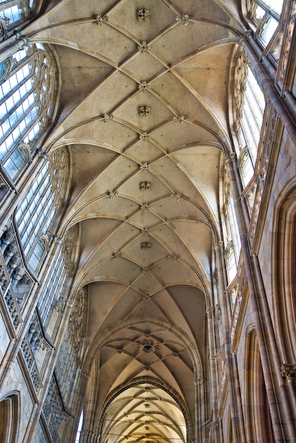 Vaulted ceiling of gothic cathedral with organic geometry elements