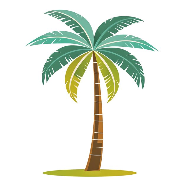 Vector illustration of the palm tree