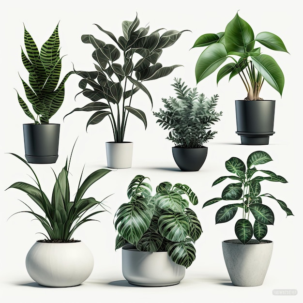 Vector set houseplant in pot realistic front view 3D Illustration green of indoor plant isolated on a white background Generative AI