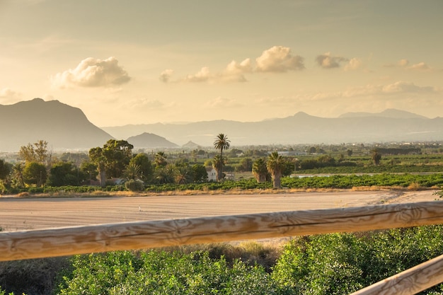 Vega Baja del Segura Algorfa Huerta y sierras de Callosa y Orihuela