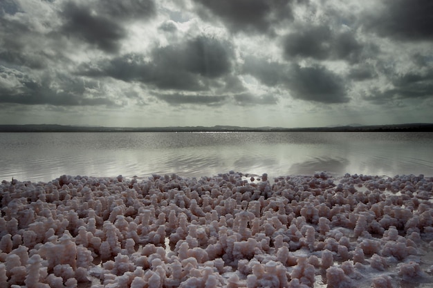 Vega Baja del Segura Las Salinas de Torrevieja y sus formaciones de sal