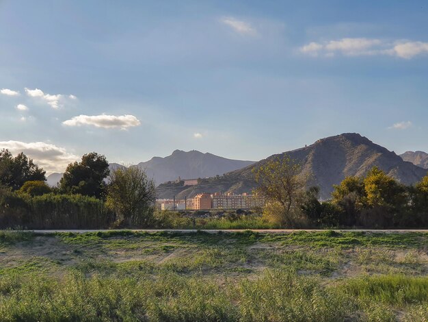 Vega Baja del Segura  Orihuela  Paisajes de la sierra la huerta y sus detalles