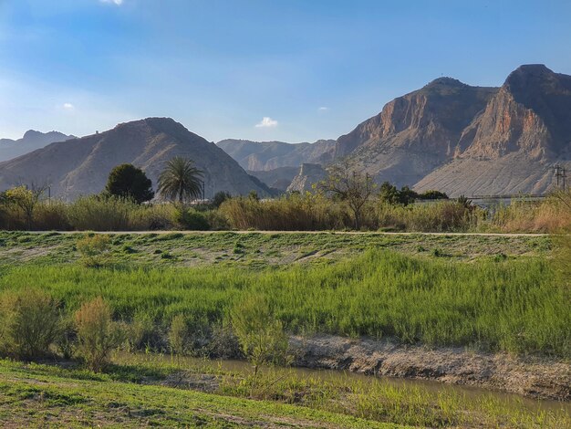 Vega Baja del Segura  Orihuela  Paisajes de la sierra la huerta y sus detalles