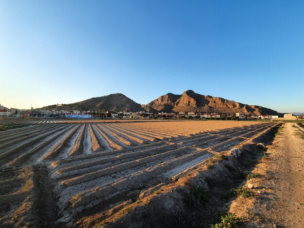 Vega Baja del Segura  Orihuela  Paisajes de la sierra la huerta y sus detalles