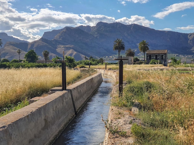 Vega Baja del Segura - Orihuela - Paisajes en el entorno de la ciudad. Huerta, rio, palmeras,...