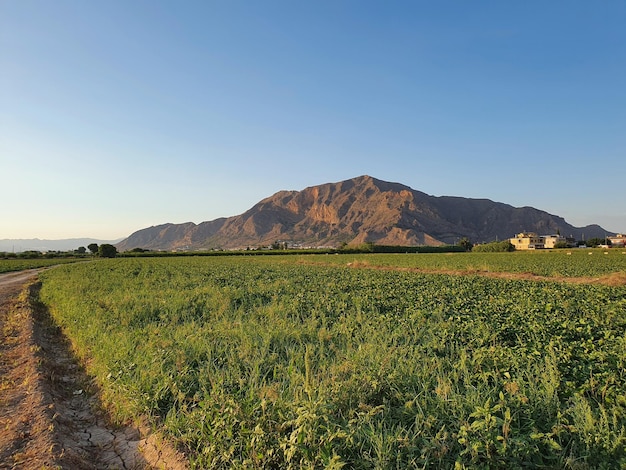 Vega Baja del Segura - Orihuela - Paisajes en la huerta de la Vega Baja