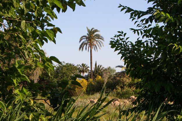 Vega Baja del Segura - Orihuela, su huerta, sierra y entorno.