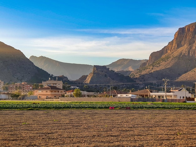 Vega Baja del Segura Paisajes de la huerta de Orihuela