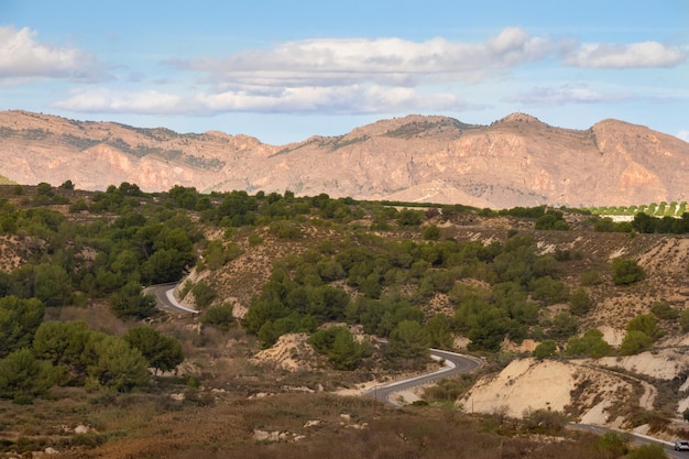 Vega Baja del Segura - Pantano o embalse de la Pedrera en Orihuela, Torremendo y Bigastro