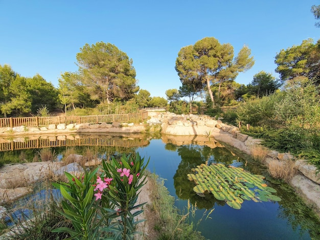 Vega Baja del Segura - Rojales - Centro del pueblo y parque del Recorral