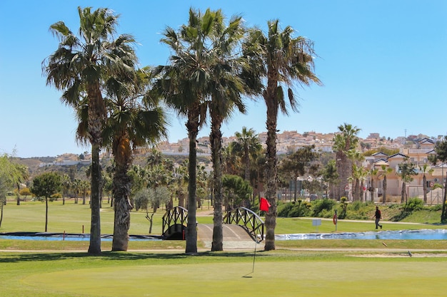 Vega Baja del Segura  Rojales  Paisajes y golf