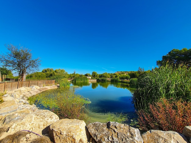 Vega Baja del Segura Rojales  Parque el Recorral