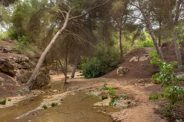 Vega Baja del Segura - Ruta de senderismo por La Caldera del Gigante y el Hoyo Serrano