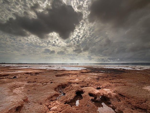 Vega Baja del Segura - Salinas de Torrevieja - La Laguna Salada y su entorno, un paisaje unico