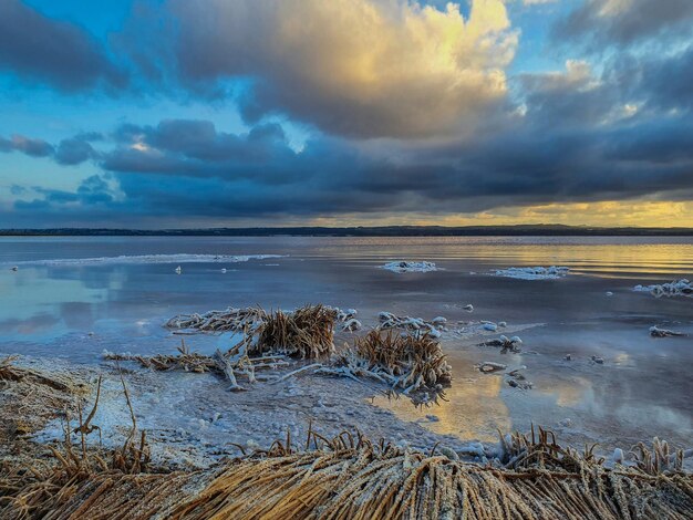 Vega Baja del Segura - Salinas de Torrevieja - La Laguna Salada y su entorno, un paisaje unico