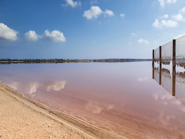 Vega Baja del Segura - Salinas de Torrevieja - La Laguna Salada y su entorno, un paisaje unico